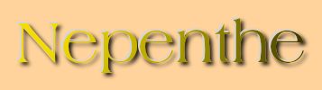 Nepenthe